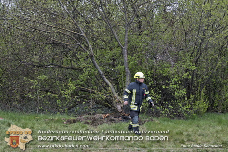 20250407_Schwerer Verkehrsunfall in der Abfahrt Baden A2 Foto: Stefan Schneider BFKDO BADEN 20250407_Schwerer Verkehrsunfall in der Abfahrt Baden A2 Foto: Stefan Schneider BFKDO BADEN