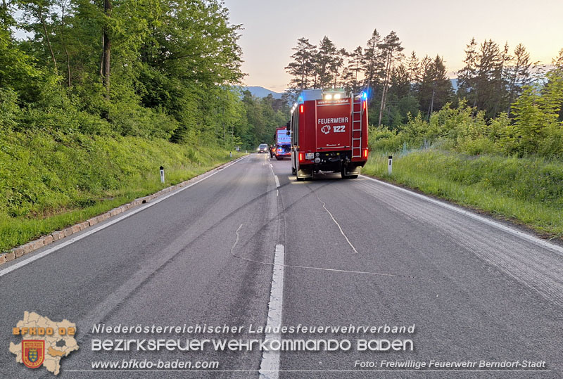 20250520_Langwierige Suche der Unfallstelle bei Berndorf Foto: Florian Stadler FF Berndorf-Stadt 20250520_Langwierige Suche der Unfallstelle bei Berndorf Foto: Florian Stadler FF Berndorf-Stadt