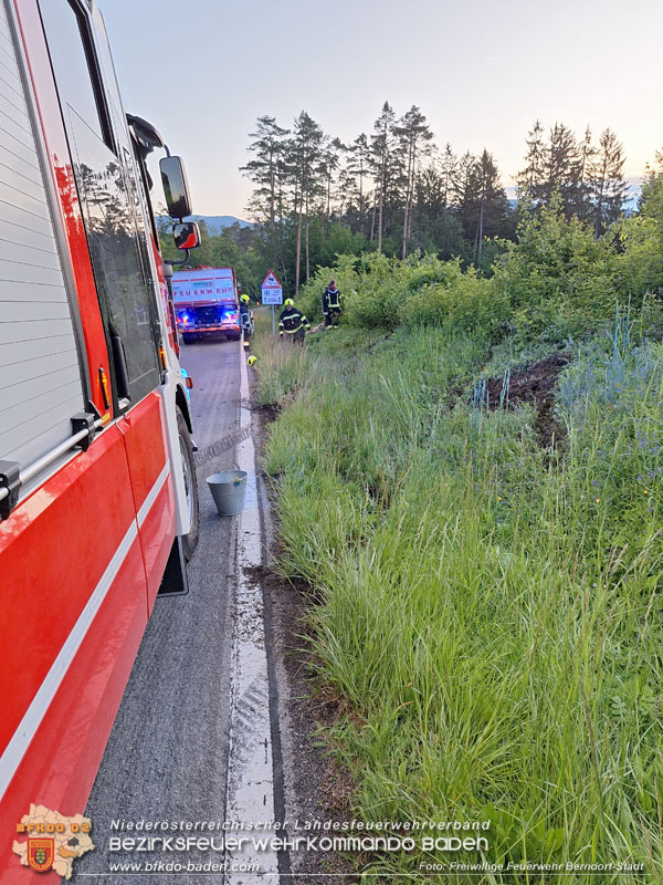 20250520_Langwierige Suche der Unfallstelle bei Berndorf Foto: Florian Stadler FF Berndorf-Stadt 20250520_Langwierige Suche der Unfallstelle bei Berndorf Foto: Florian Stadler FF Berndorf-Stadt