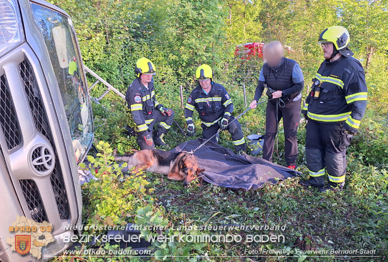 20250520_Langwierige Suche der Unfallstelle bei Berndorf Foto: Florian Stadler FF Berndorf-Stadt 20250520_Langwierige Suche der Unfallstelle bei Berndorf Foto: Florian Stadler FF Berndorf-Stadt