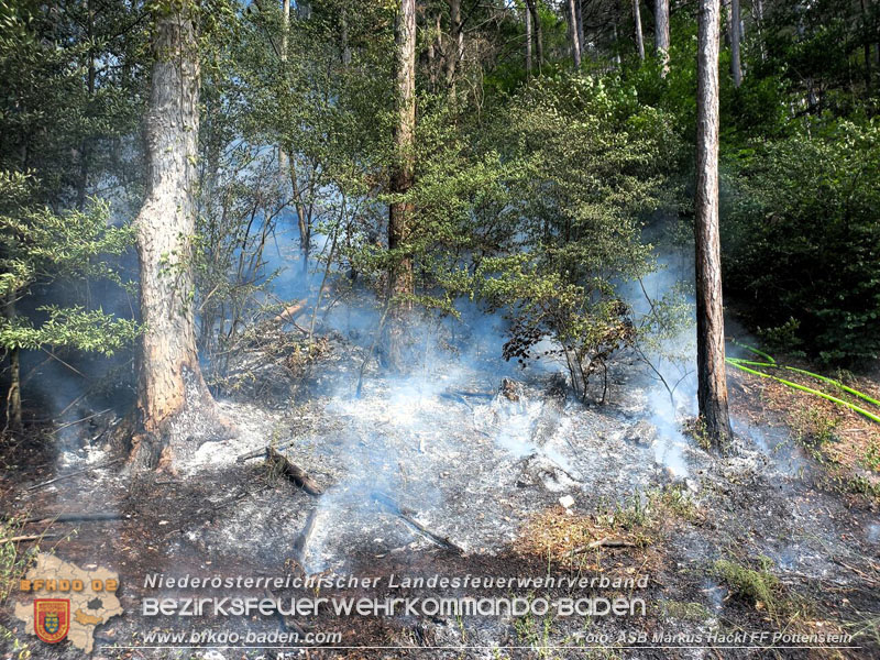 20250623_Waldbrand in Grabenweg bei Pottenstein Foto: ASB Markus Hackl 20250623_Waldbrand in Grabenweg bei Pottenstein Foto: ASB Markus Hackl