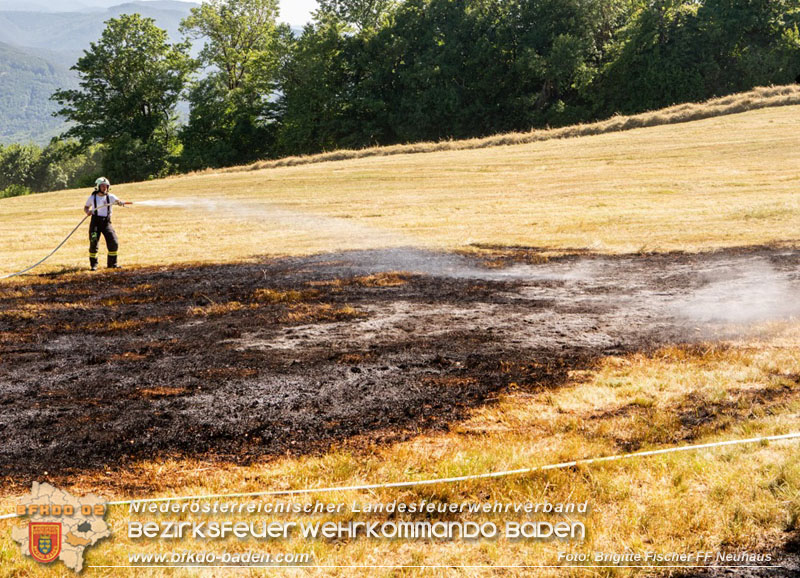 20250701_Brand auf einer Wiese direkt neben Waldgebiet in Schwarzensee  Foto: Brigitte Fischer FF Neuhaus