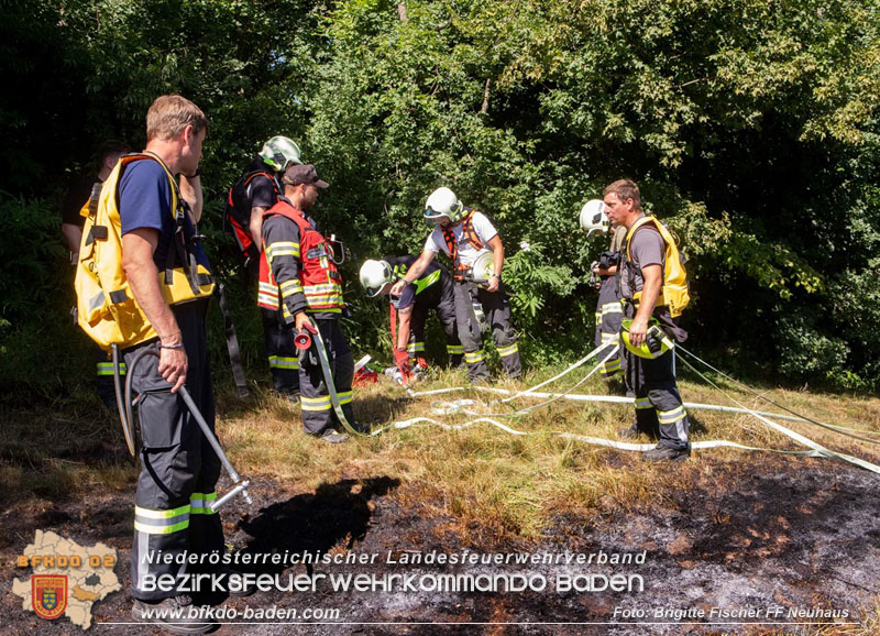 20250701_Brand auf einer Wiese direkt neben Waldgebiet in Schwarzensee  Foto: Brigitte Fischer FF Neuhaus