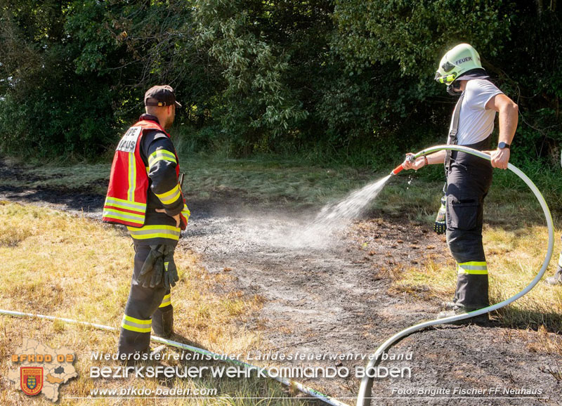 20250701_Brand auf einer Wiese direkt neben Waldgebiet in Schwarzensee  Foto: Brigitte Fischer FF Neuhaus