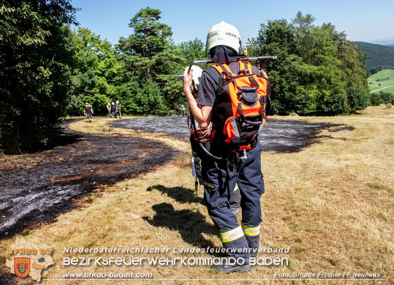 20250701_Brand auf einer Wiese direkt neben Waldgebiet in Schwarzensee  Foto: Brigitte Fischer FF Neuhaus