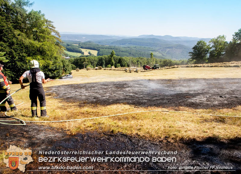20250701_Brand auf einer Wiese direkt neben Waldgebiet in Schwarzensee Foto: Brigitte Fischer FF Neuhaus