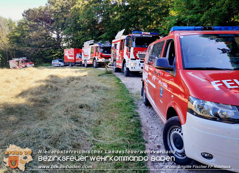 20250701_Brand auf einer Wiese direkt neben Waldgebiet in Schwarzensee Foto: Brigitte Fischer FF Neuhaus