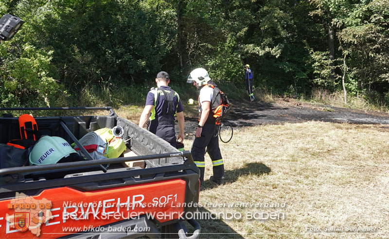 20250701_Brand auf einer Wiese direkt neben Waldgebiet in Schwarzensee  Foto: Stefan Schneider BFKDO BADEN