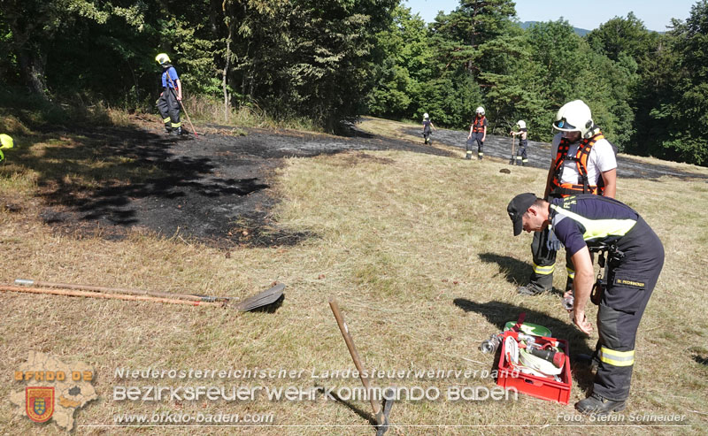 20250701_Brand auf einer Wiese direkt neben Waldgebiet in Schwarzensee  Foto: Stefan Schneider BFKDO BADEN