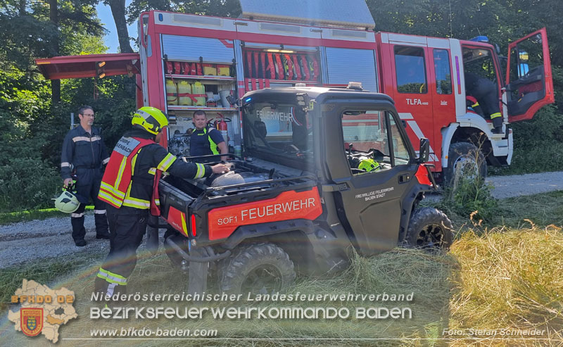 20250701_Brand auf einer Wiese direkt neben Waldgebiet in Schwarzensee  Foto: Stefan Schneider BFKDO BADEN