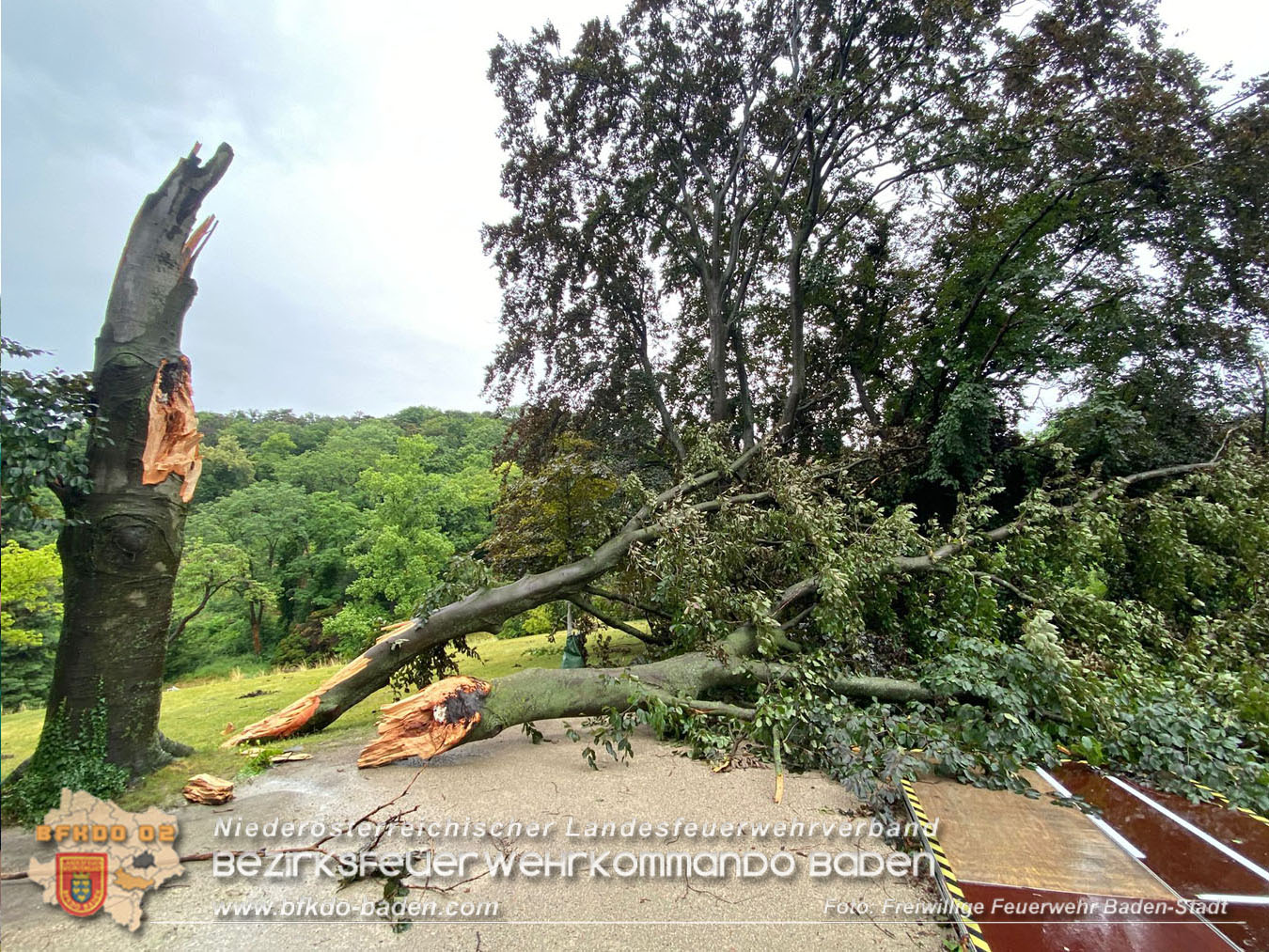 20250707_Der Tag nach dem Unwetter ber der Stadt im Kurpark BADEN