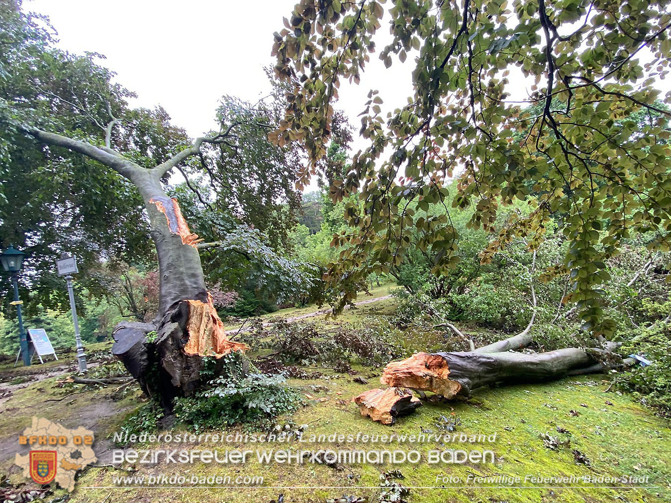 20250707_Der Tag nach dem Unwetter ber der Stadt im Kurpark BADEN