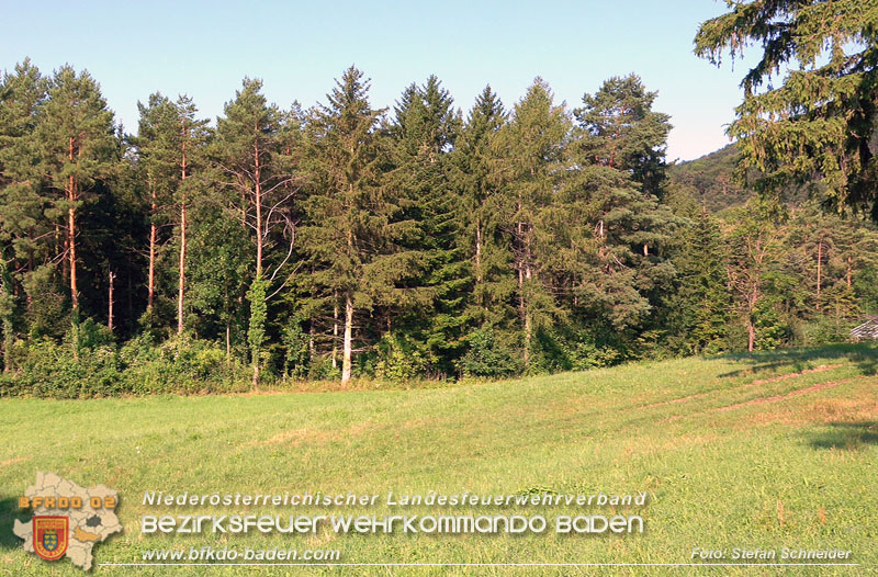 20250719_Erfolgreiche Personensuche nach Verkehrsunfall auf der LB11 Foto: Stefan Schneider BFKDO BADEN 20250719_Erfolgreiche Personensuche nach Verkehrsunfall auf der LB11 Foto: Stefan Schneider BFKDO BADEN