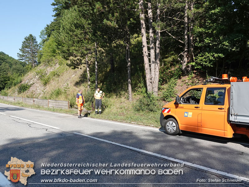 20250719_Erfolgreiche Personensuche nach Verkehrsunfall auf der LB11 Foto: Stefan Schneider BFKDO BADEN
