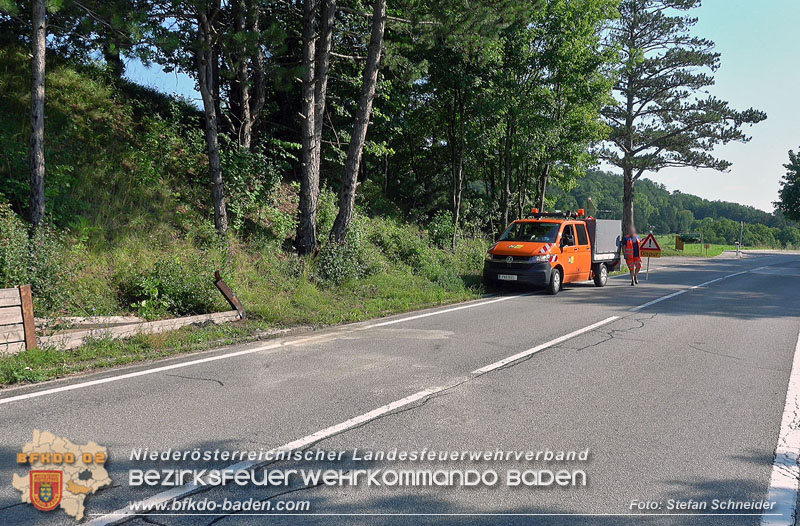 20250719_Erfolgreiche Personensuche nach Verkehrsunfall auf der LB11 Foto: Stefan Schneider BFKDO BADEN 20250719_Erfolgreiche Personensuche nach Verkehrsunfall auf der LB11 Foto: Stefan Schneider BFKDO BADEN