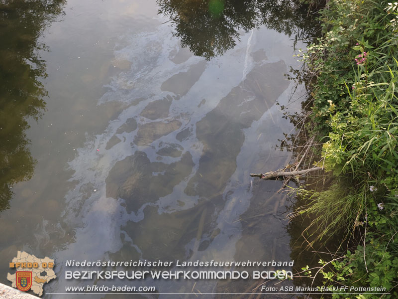 20250720_Ölfilm auf der Triesting  Foto: ASB ÖA Markus Hackl FF Pottenstein