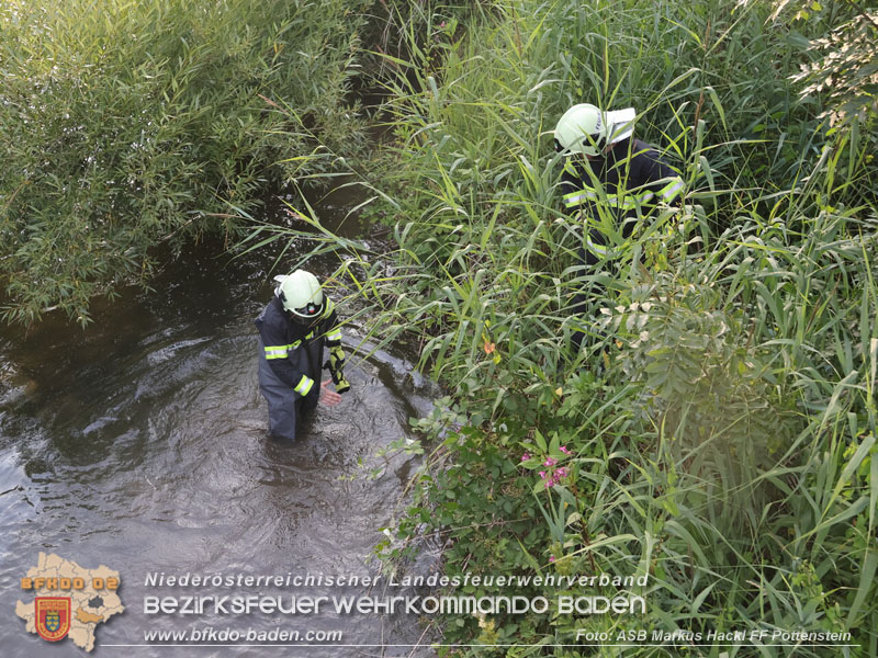 20250720_Ölfilm auf der Triesting  Foto: ASB ÖA Markus Hackl FF Pottenstein