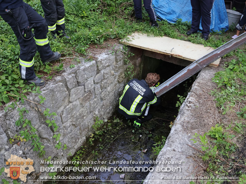 20250720_Ölfilm auf der Triesting  Foto: ASB ÖA Markus Hackl FF Pottenstein