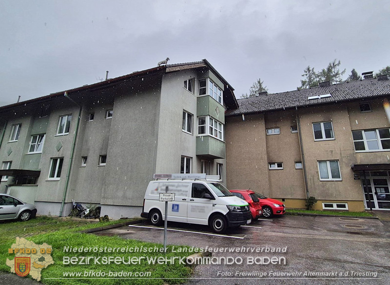 20250726_Feuerwehr rettet Hund von Dach einer Wohnhausanlage in Altenmarkt a.d.Triesting Foto: FF Altenmarkt/Triesting 20250726_Feuerwehr rettet Hund von Dach einer Wohnhausanlage in Altenmarkt a.d.Triesting Foto: FF Altenmarkt/Triesting