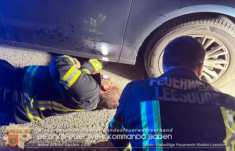 20250803_Feuerwehr befreit Babykatze aus Pkw in Baden   Foto: Freiwillige Feuerwehr Baden-Leesdorf