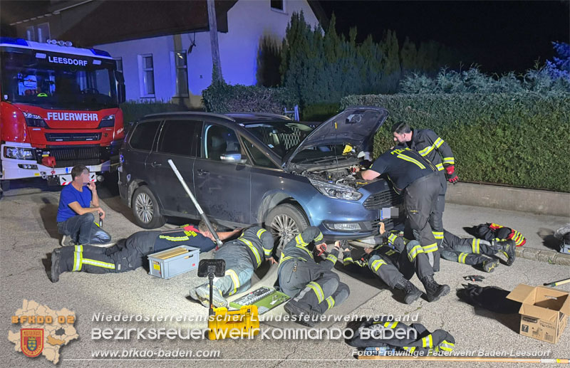 20250803_Feuerwehr befreit Babykatze aus Pkw in Baden   Foto: Freiwillige Feuerwehr Baden-Leesdorf
