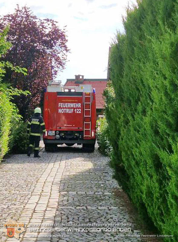 20250805_Rasche Entwarnung nach alarmierten Kellerbrand in Lindabrunn/Enzesfeld   Foto: Freiwillige Feuerwehr Lindabrunn