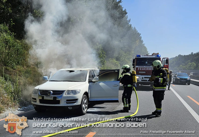 20250819_PKW Brand im Baustellenbereich auf der A21   Foto: Freiwillige Feuerwehr Alland