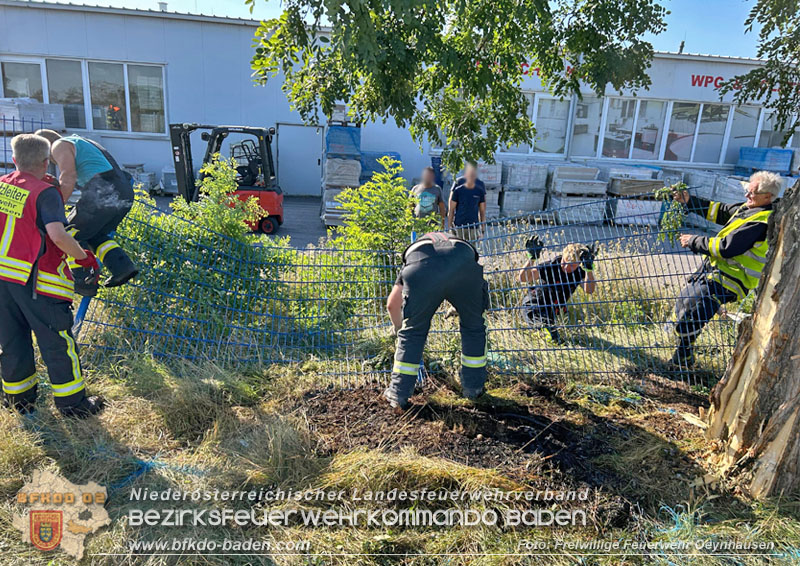 20250819_Verkehrsunfall auf der B17 zwischen Oeynhausen und Gnselsdorf  Foto: Freiwillige Feuerwehr Oeynhausen