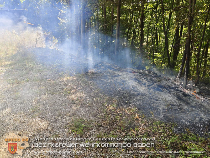 20250820_Zwei Flurbrnde gerade noch rechtzeitig entdeckt!  Foto: Freiwillige Feuerwehr Maria Raisenmarkt
