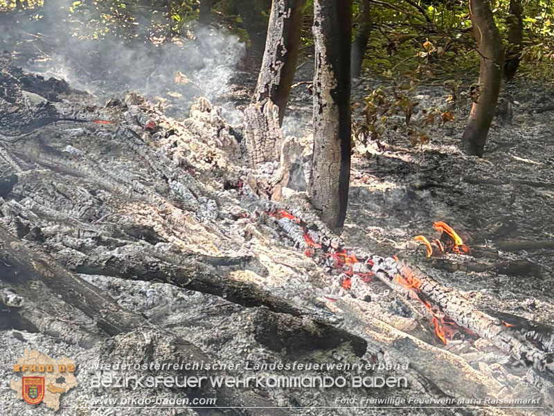 20250820_Zwei Flurbrnde gerade noch rechtzeitig entdeckt!  Foto: Freiwillige Feuerwehr Maria Raisenmarkt