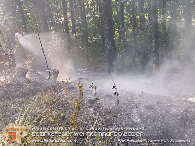 20250820_Zwei Flurbrnde gerade noch rechtzeitig entdeckt!  Foto: Freiwillige Feuerwehr Maria Raisenmarkt