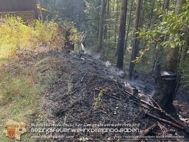 20250820_Zwei Flurbrnde gerade noch rechtzeitig entdeckt!  Foto: Freiwillige Feuerwehr Maria Raisenmarkt