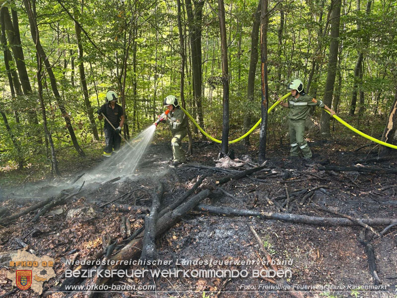 20250820_Zwei Flurbrnde gerade noch rechtzeitig entdeckt!  Foto: Freiwillige Feuerwehr Maria Raisenmarkt