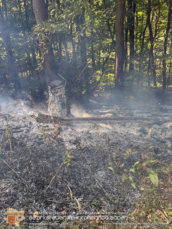 20250820_Zwei Flurbrnde gerade noch rechtzeitig entdeckt!  Foto: Freiwillige Feuerwehr Maria Raisenmarkt