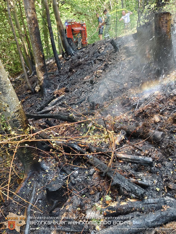 20250820_Zwei Flurbrnde gerade noch rechtzeitig entdeckt!  Foto: Freiwillige Feuerwehr Maria Raisenmarkt