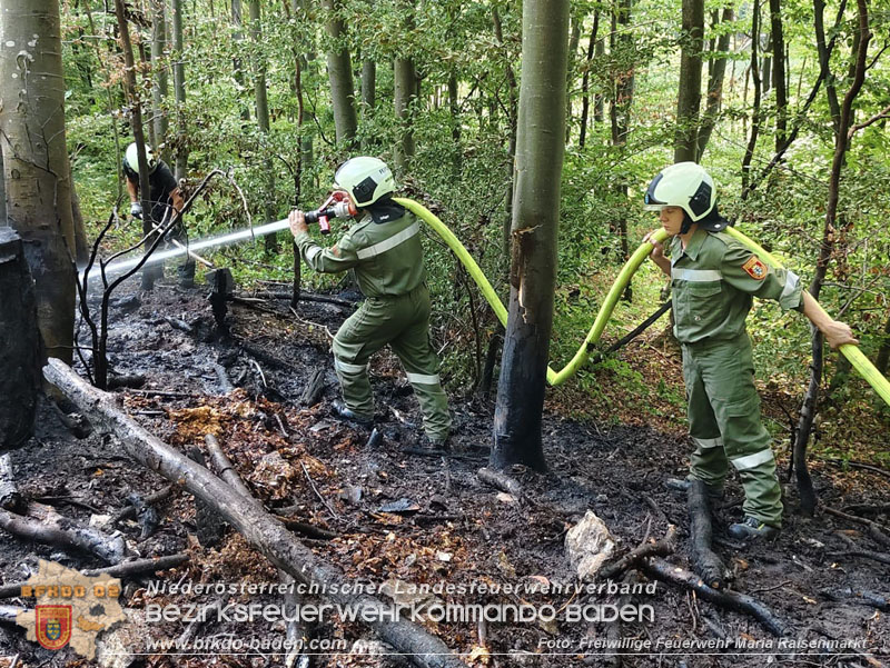 20250820_Zwei Flurbrnde gerade noch rechtzeitig entdeckt!  Foto: Freiwillige Feuerwehr Maria Raisenmarkt