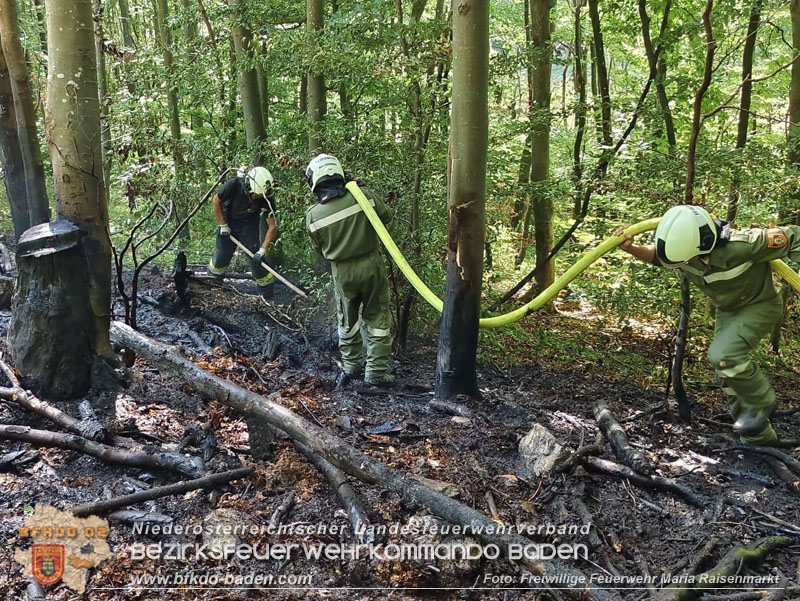 20250820_Zwei Flurbrnde gerade noch rechtzeitig entdeckt!  Foto: Freiwillige Feuerwehr Maria Raisenmarkt