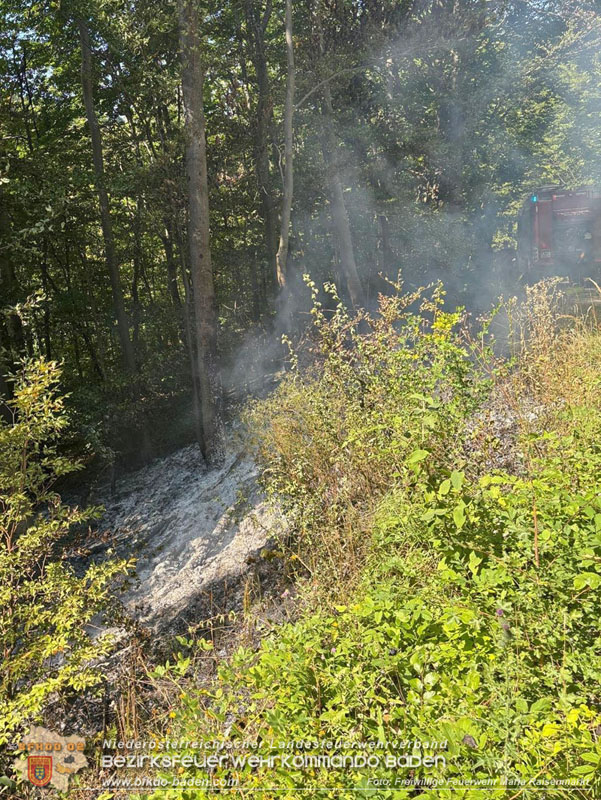 20250820_Zwei Flurbrnde gerade noch rechtzeitig entdeckt!  Foto: Freiwillige Feuerwehr Maria Raisenmarkt