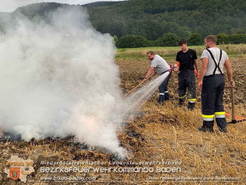 20250820_Zwei Flurbrnde gerade noch rechtzeitig entdeckt!  Foto: Freiwillige Feuerwehr Maria Raisenmarkt