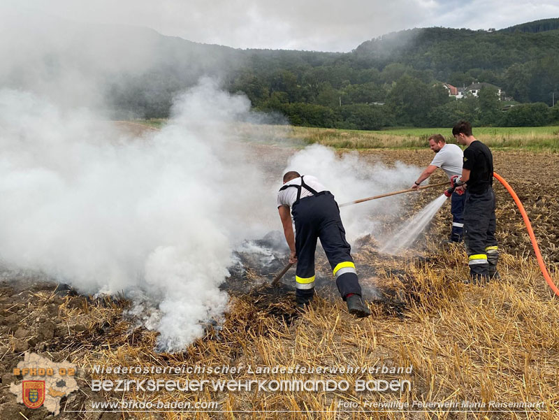 20250820_Zwei Flurbrnde gerade noch rechtzeitig entdeckt!  Foto: Freiwillige Feuerwehr Maria Raisenmarkt