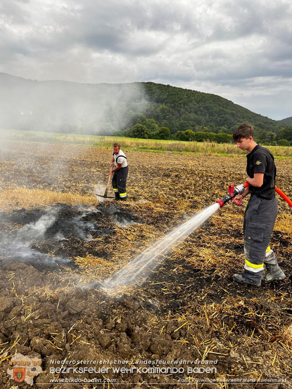 20250820_Zwei Flurbrnde gerade noch rechtzeitig entdeckt!  Foto: Freiwillige Feuerwehr Maria Raisenmarkt