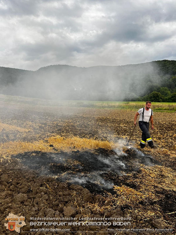 20250820_Zwei Flurbrnde gerade noch rechtzeitig entdeckt!  Foto: Freiwillige Feuerwehr Maria Raisenmarkt