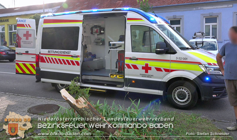 20250822_Pkw Lenkerin prallt im Ortsgebiet frontal gegen Baum  Foto: Stefan Schneider BFKDO BADEN 20250822_Pkw Lenkerin prallt im Ortsgebiet frontal gegen Baum  Foto: Stefan Schneider BFKDO BADEN