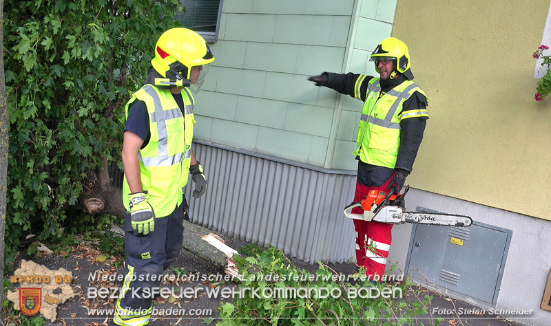 20250822_Pkw Lenkerin prallt im Ortsgebiet frontal gegen Baum Foto: Stefan Schneider BFKDO BADEN 20250822_Pkw Lenkerin prallt im Ortsgebiet frontal gegen Baum Foto: Stefan Schneider BFKDO BADEN