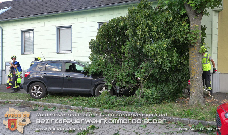 20250822_Pkw Lenkerin prallt im Ortsgebiet frontal gegen Baum Foto: Stefan Schneider BFKDO BADEN 20250822_Pkw Lenkerin prallt im Ortsgebiet frontal gegen Baum Foto: Stefan Schneider BFKDO BADEN