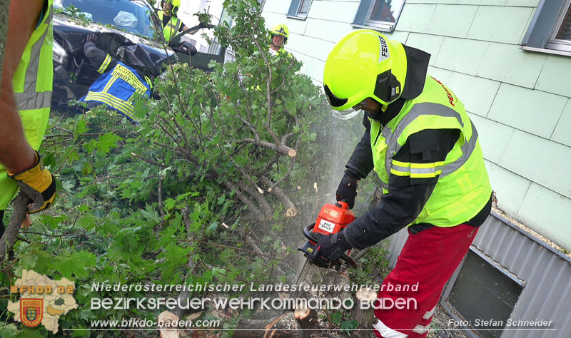 20250822_Pkw Lenkerin prallt im Ortsgebiet frontal gegen Baum Foto: Stefan Schneider BFKDO BADEN 20250822_Pkw Lenkerin prallt im Ortsgebiet frontal gegen Baum Foto: Stefan Schneider BFKDO BADEN
