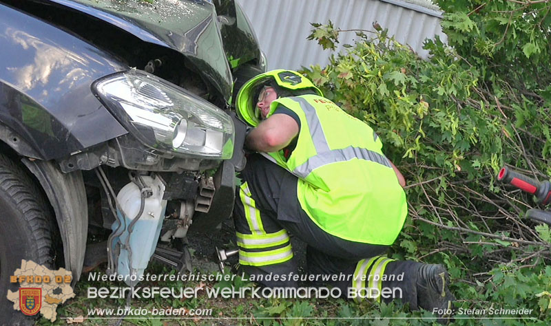 20250822_Pkw Lenkerin prallt im Ortsgebiet frontal gegen Baum Foto: Stefan Schneider BFKDO BADEN 20250822_Pkw Lenkerin prallt im Ortsgebiet frontal gegen Baum Foto: Stefan Schneider BFKDO BADEN