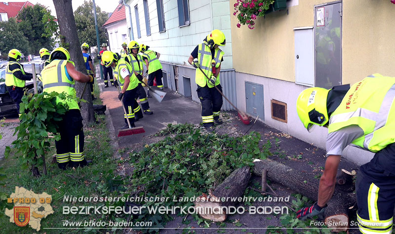 20250822_Pkw Lenkerin prallt im Ortsgebiet frontal gegen Baum Foto: Stefan Schneider BFKDO BADEN 20250822_Pkw Lenkerin prallt im Ortsgebiet frontal gegen Baum Foto: Stefan Schneider BFKDO BADEN