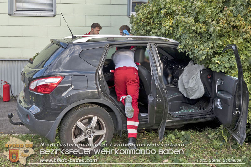 20250822_Pkw Lenkerin prallt im Ortsgebiet frontal gegen Baum  Foto: Stefan Schneider BFKDO BADEN 20250822_Pkw Lenkerin prallt im Ortsgebiet frontal gegen Baum  Foto: Stefan Schneider BFKDO BADEN