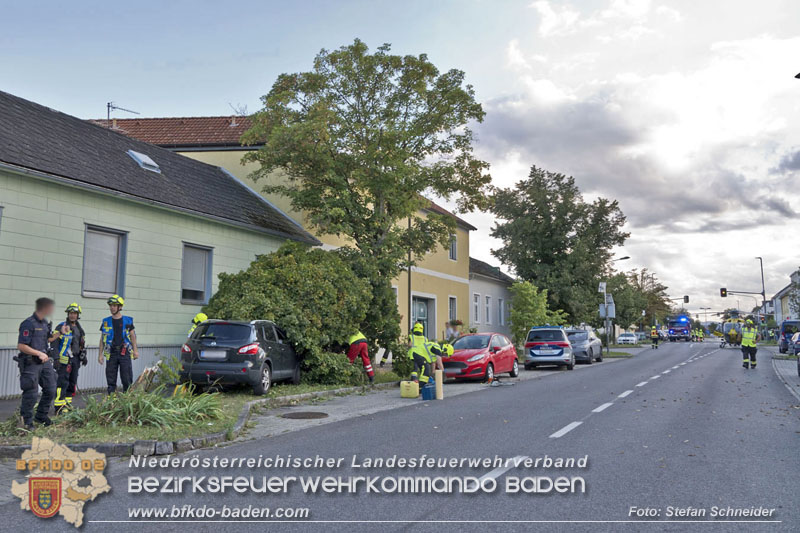 20250822_Pkw Lenkerin prallt im Ortsgebiet frontal gegen Baum Foto: Stefan Schneider BFKDO BADEN 20250822_Pkw Lenkerin prallt im Ortsgebiet frontal gegen Baum Foto: Stefan Schneider BFKDO BADEN